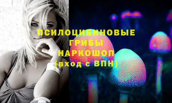 метадон Покачи