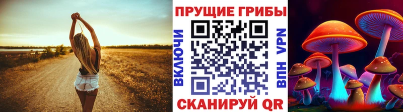 Купить закладки  Краснокаменск  Псилоцибиновые грибы GOLDEN TEACHER 